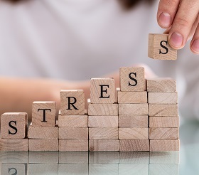 Di Ak Stress Adobe Stock 261556028 NL